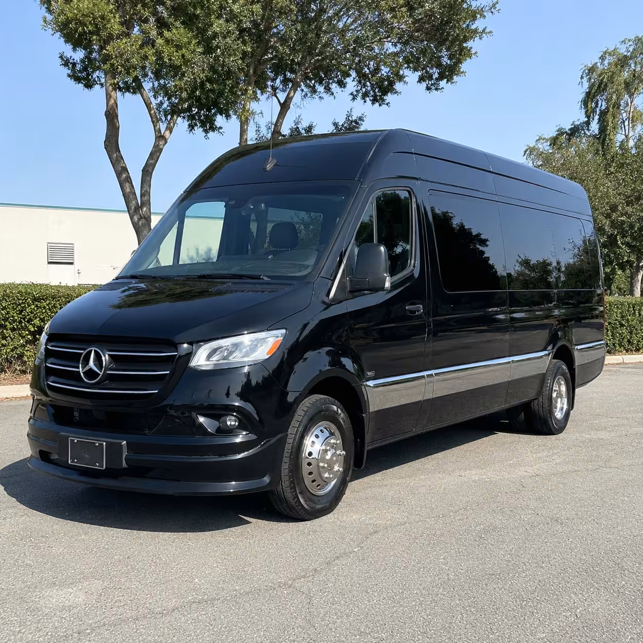 sprinter van rental with driver