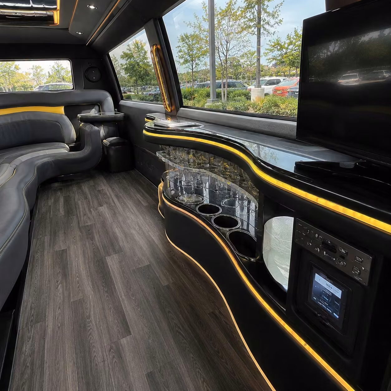 tampa limo interior