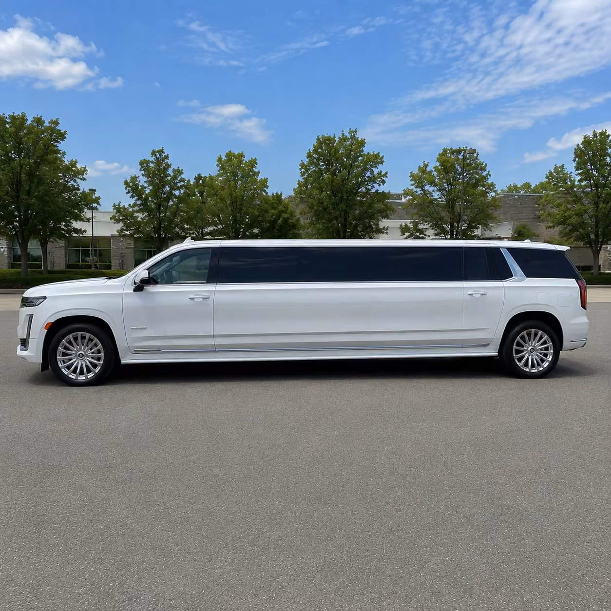 tampa limousine exterior