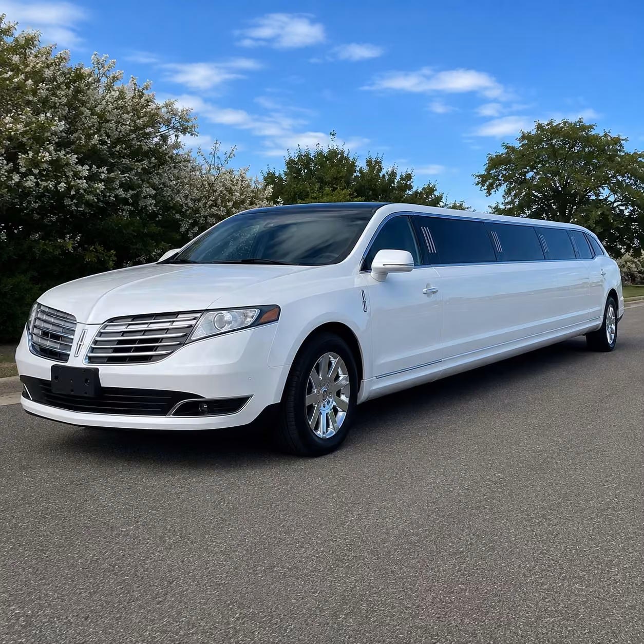 why choose tampalimousinevip.com